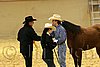 QH062_0327n.jpg