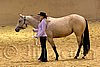 QH062_0329n.jpg