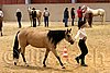 QH062_0331n.jpg