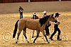 QH062_0332n.jpg