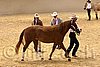 QH062_0333n.jpg