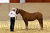 QH062_0334n.jpg