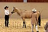 QH062_0335n.jpg