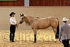 QH062_0336n.jpg