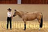QH062_0337n.jpg