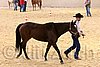 QH062_0340n.jpg