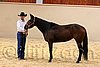 QH062_0341n.jpg
