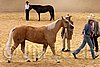 QH062_0342n.jpg