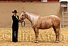 QH062_0343n.jpg