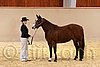 QH062_0344n.jpg