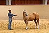 QH062_0345n.jpg
