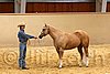 QH062_0346n.jpg