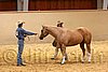 QH062_0347n.jpg