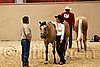 QH062_0348n.jpg