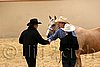 QH062_0349n.jpg