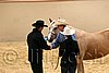 QH062_0350n.jpg