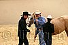 QH062_0351n.jpg
