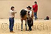 QH062_0352n.jpg