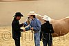 QH062_0354n.jpg