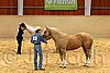 QH062_0359n.jpg