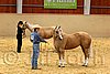 QH062_0360n.jpg