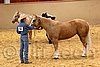 QH062_0364n.jpg