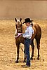 QH062_0365n.jpg