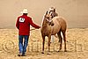 QH062_0371n.jpg