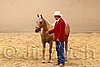 QH062_0372n.jpg