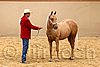 QH062_0373n.jpg