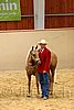 QH062_0374n.jpg