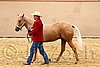 QH062_0377n.jpg