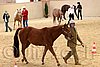 QH062_0378n.jpg