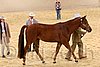 QH062_0379n.jpg