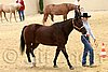 QH062_0380n.jpg