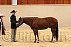 QH062_0382n.jpg