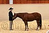 QH062_0383n.jpg