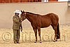 QH062_0384n.jpg
