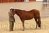QH062_0385n.jpg
