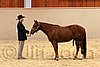QH062_0386n.jpg