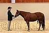 QH062_0387n.jpg