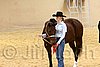 QH062_0393n.jpg