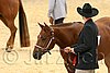 QH062_0398n.jpg