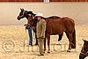 QH062_0399n.jpg