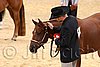 QH062_0400n.jpg