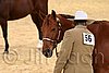 QH062_0401n.jpg