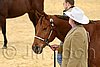QH062_0402n.jpg
