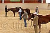 QH062_0403n.jpg
