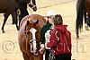 QH062_0404n.jpg