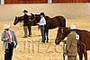 QH062_0409n.jpg